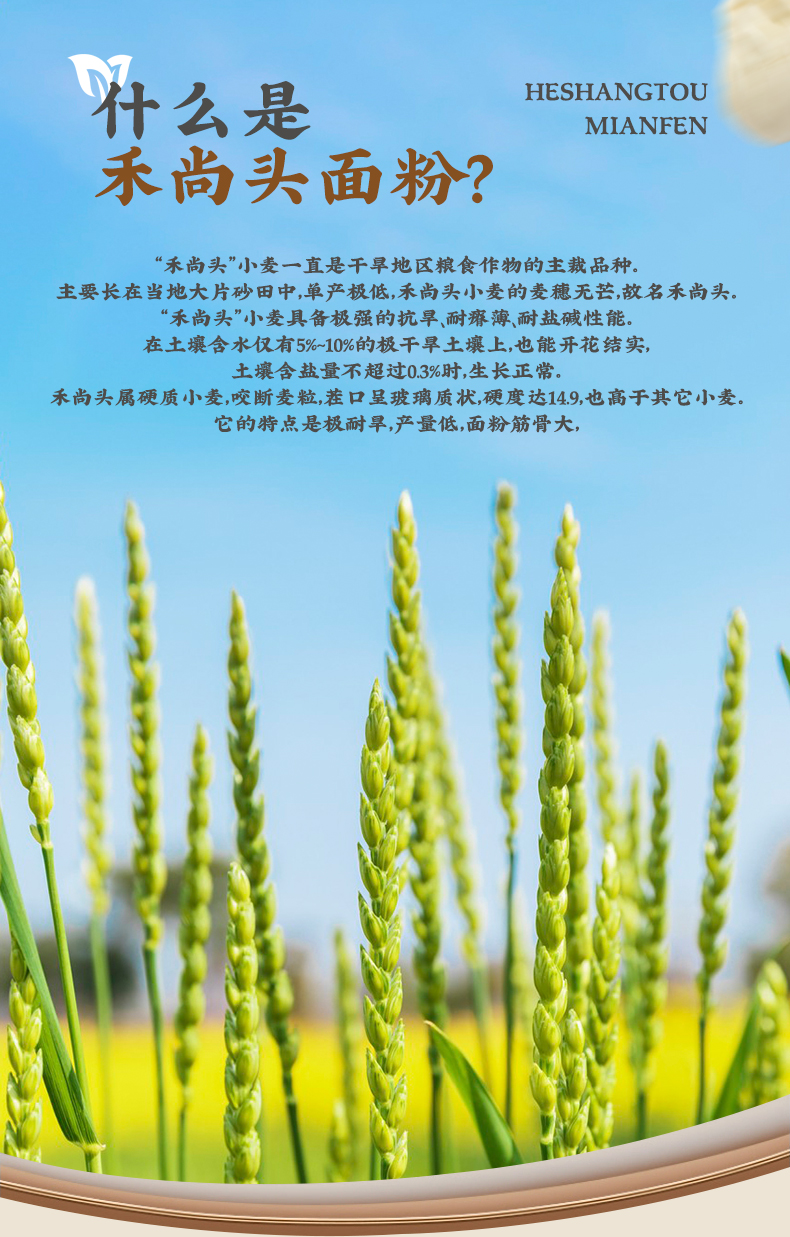 禾尚头面粉_02.jpg